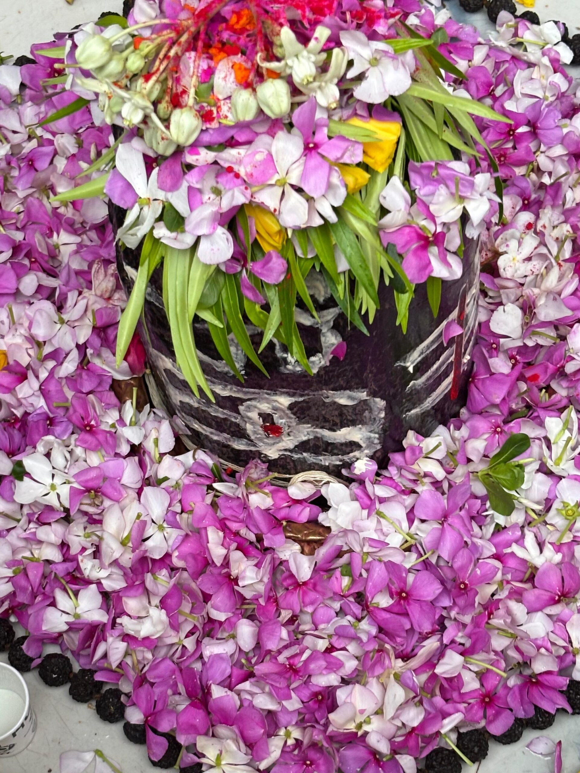 Chuteshwar Nath Mahadev Mandir